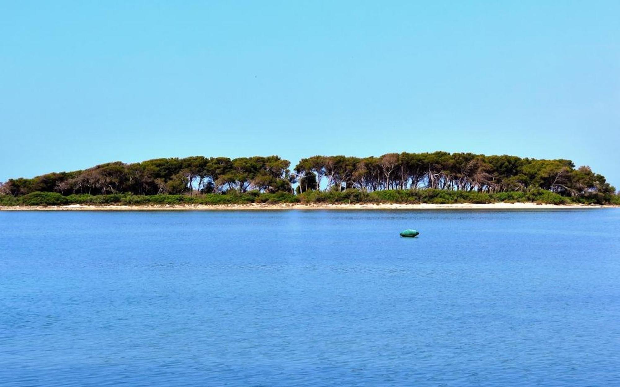 Villa Fiorella Porto Cesareo Primo Piano 2 Locali 外观 照片